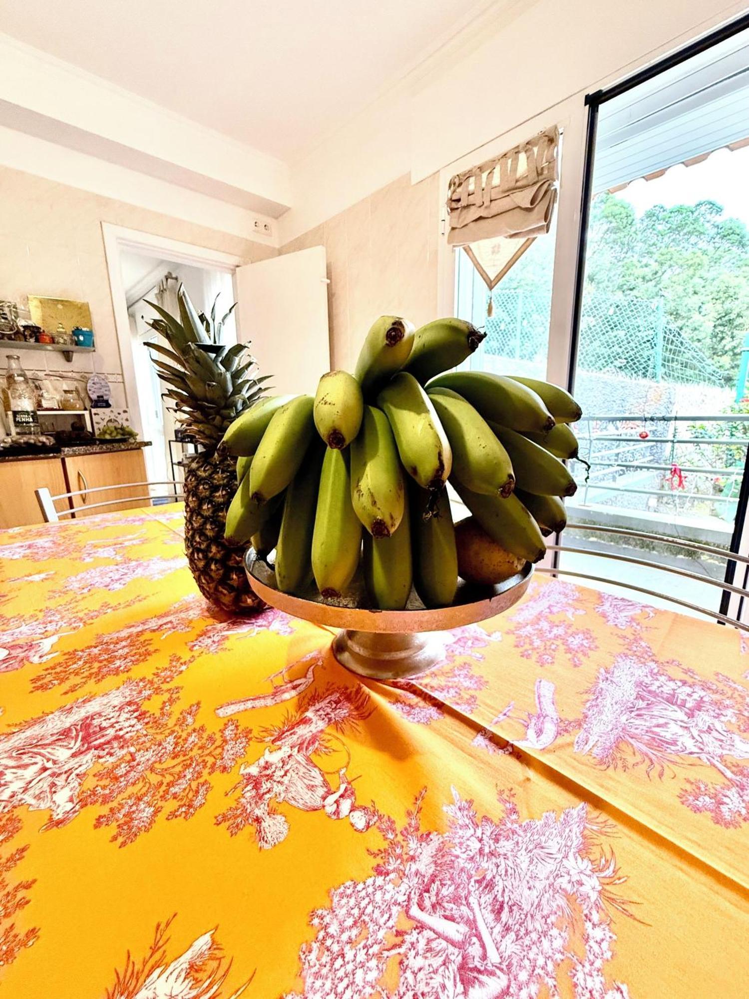 산타 크루즈 Casa Do Sol 빌라 외부 사진