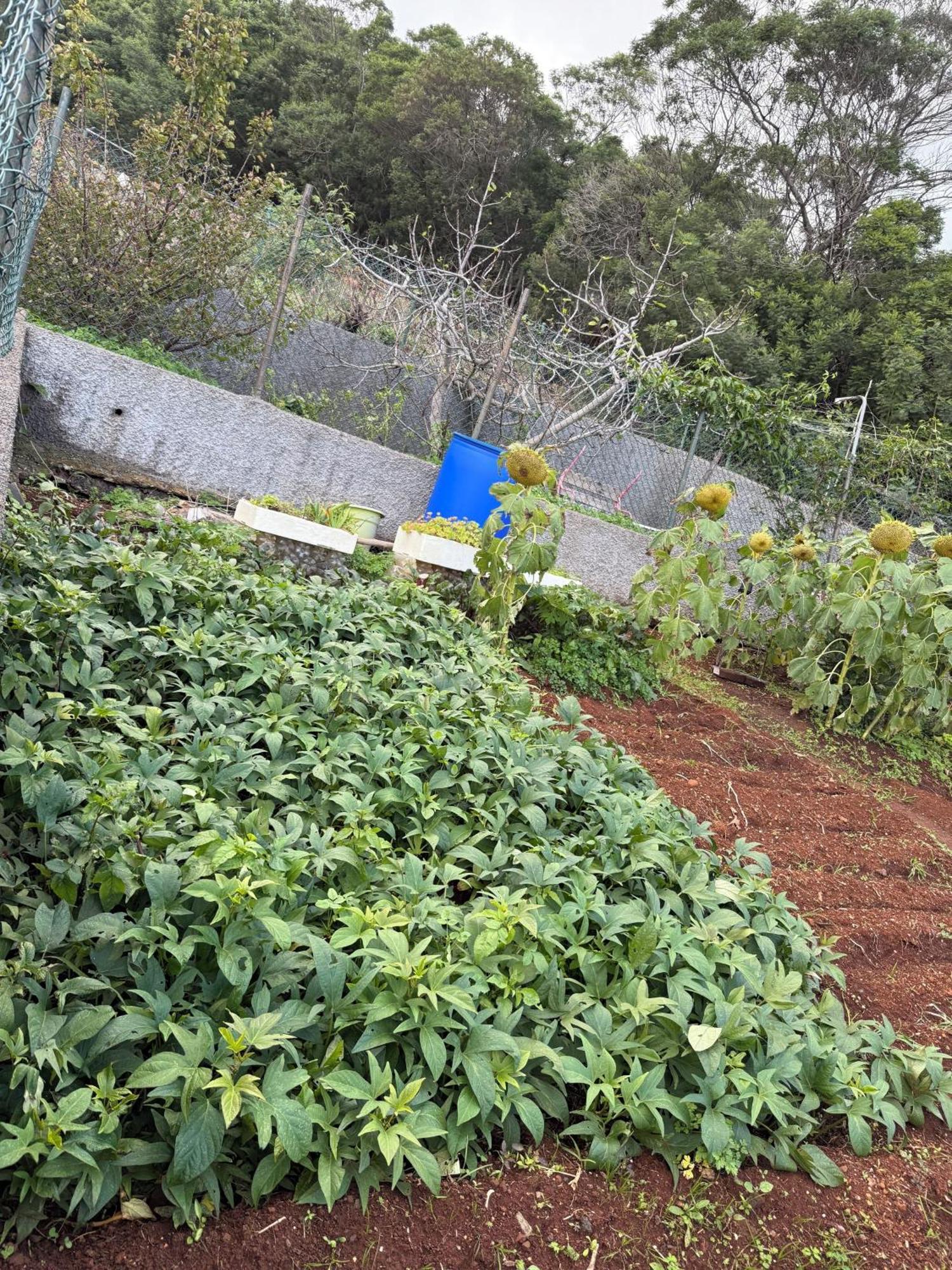 산타 크루즈 Casa Do Sol 빌라 외부 사진